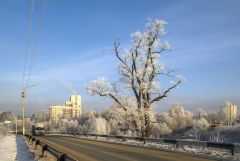 Придорожное