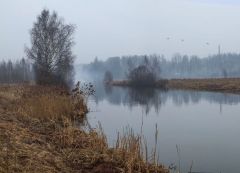 Но утки уже летят высоко...