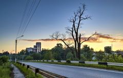 Переживший бурю