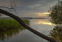 Пегас, взлетающий навстречу закату