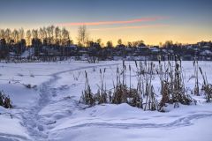 Молчал камыш