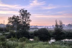 Утиная заводь