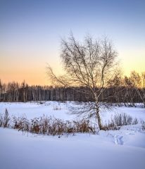 На Западе диком стоит одиноко...