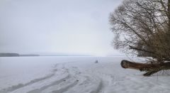 Дальний свет