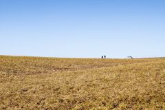 В уголочке неба