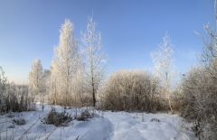 Тропою фанатиков