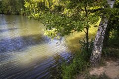 Абрамцевский пруд