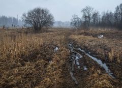 Дороги, которые мы выбираем-2