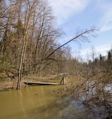 Большая вода
