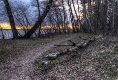 Ползёт! Ползёт!