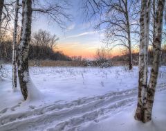 Выхожу один я на болото - 2