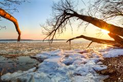 Последний лёд странной зимы