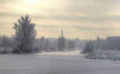 Жемчуг и перламутр