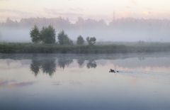 Ранние пташки