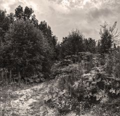 Кажется дождь собирается...