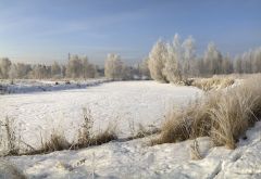 Благодарные Солнцу