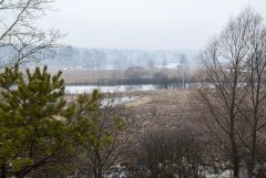 Комариный рай. Пробуждение.