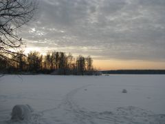 Белый мишка (слева внизу) :)