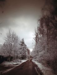 Привет зима