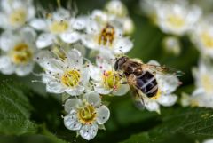 Совместный завтрак :)