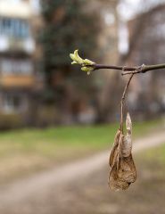 Старое и новое