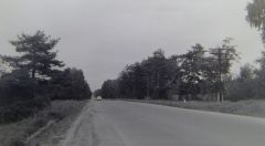 Дорога на Красноармейск. 1976 год.