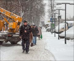 "Мы в ответе за тех, кого приручили"