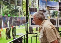 Внимательный зритель