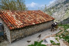 Домик в горной деревне (Черногория)