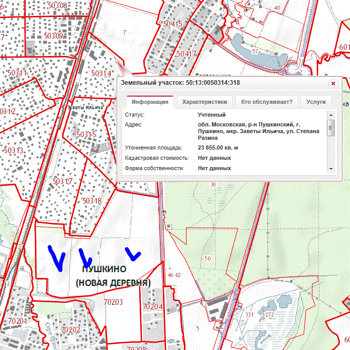 Кадастровая карта Заветы Ильича. Схема канализации Пушкинского района. Заветы Ильича план. Новопушкино Московская область.