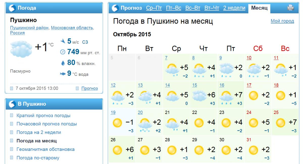 Погода в пушкино московской области на 10. Погода в Перми на неделю. Прогноз погоды в Саратове на месяц. Погода в Пушкино на 2 недели.
