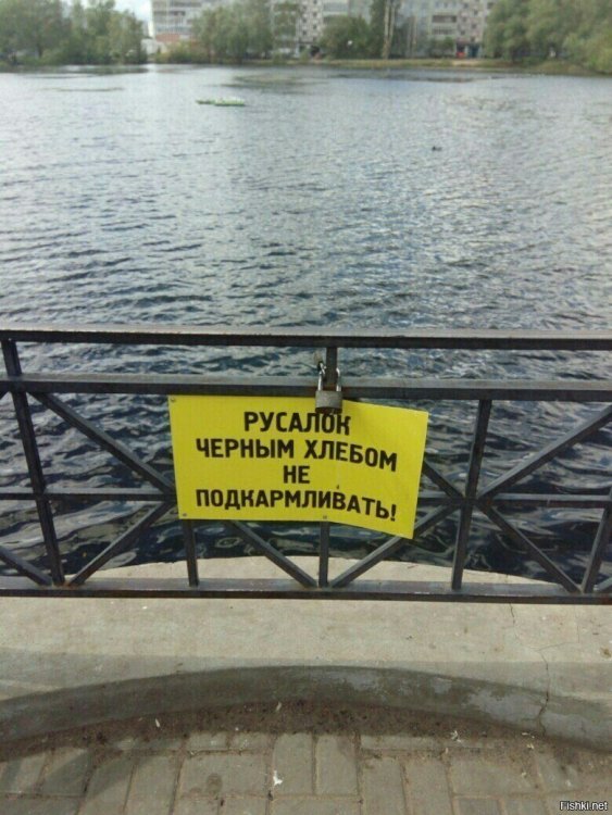 русалки.jpg