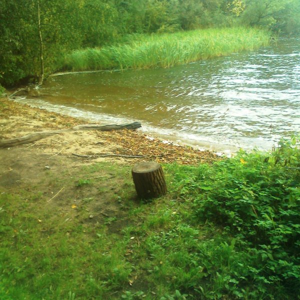 У затопленного села Курово.