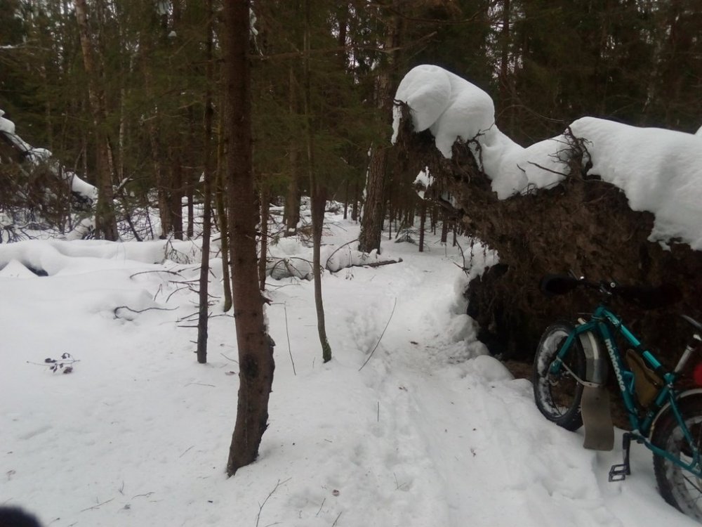 Толстокатня_''подКорягой''.jpg