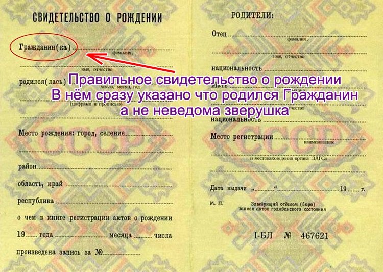 Где найти номер актовой записи в свидетельстве о рождении ребенка нового образца