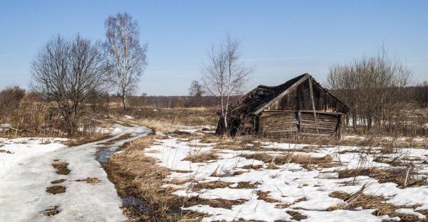 Тверская весна