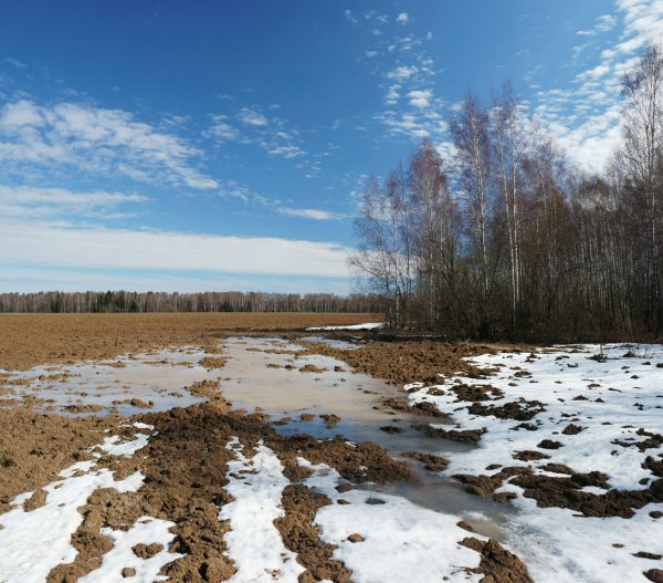 Последний снег