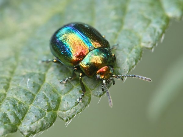 Самый яркий в городе