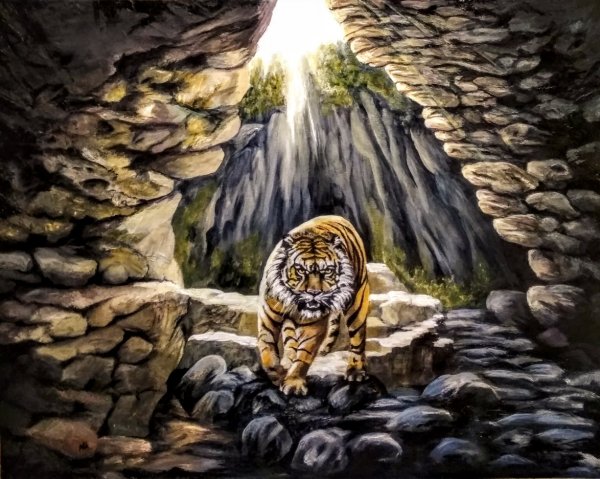 Тигр и камни