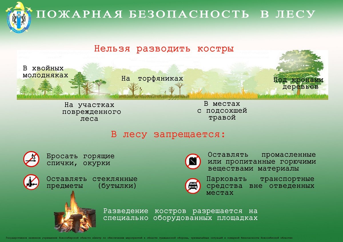 Правил пожарной безопасности в лесах 2020. Пожарнаяюезопасность в лнсу. Пожарная безопасность в лесу. Правила пожарной безопасности в лесу. Пожарная безопасность в лесу памятка.