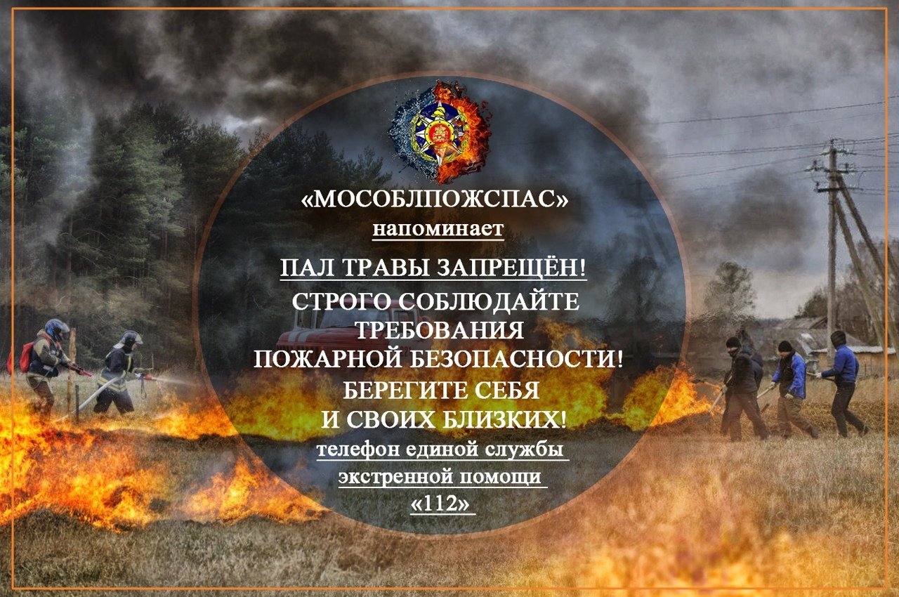 Пал травы памятка. Пал травы запрещен памятка Московская область. Противопожарная безопасность пал травы. Пожарная безопасность пал сухой травы. Весенний пал травы.