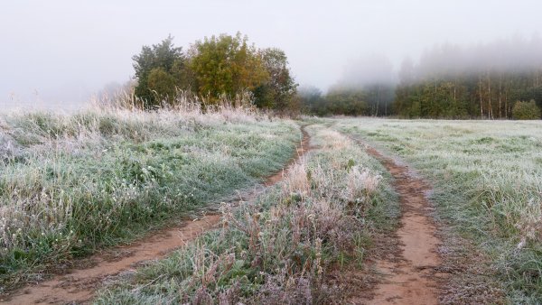 Первые заморозки