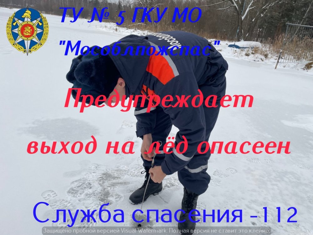 г Фрязино, оз. Большое.jpeg