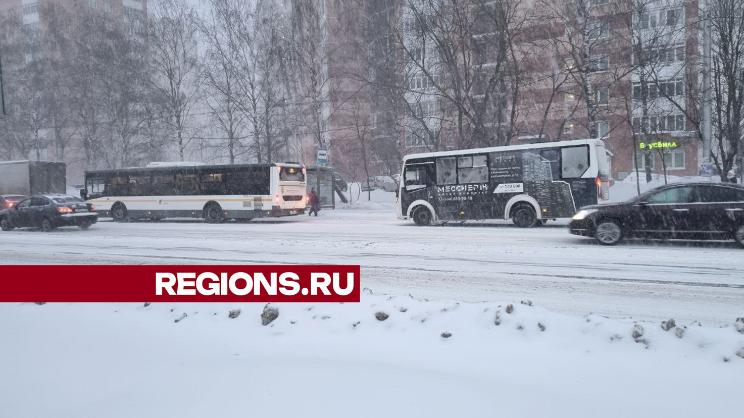 Новое пушкино автобусы